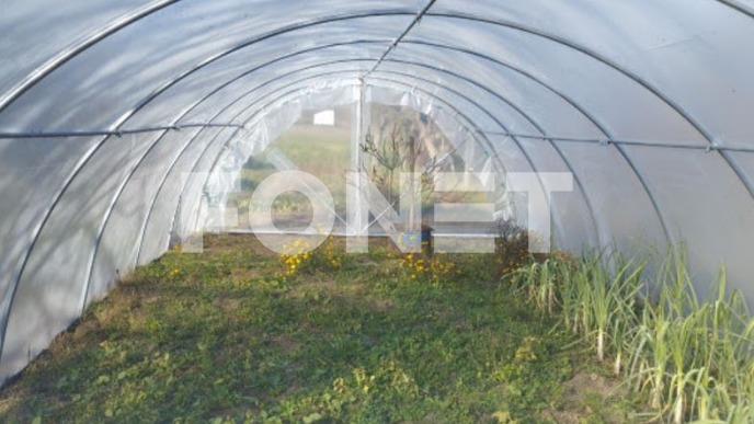 Konkurs za dodelu plastenika